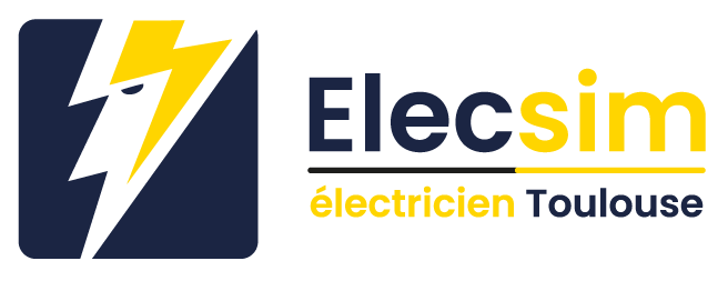 Logo Elecsim